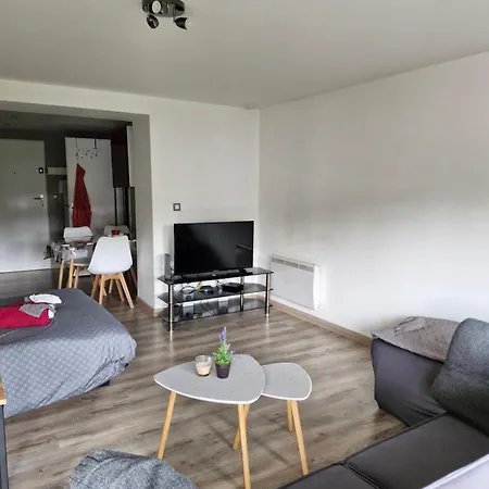 Joli Studio Une Piece 15Min A Pied Centre Depinal 4 Personnes Grace Au Canape Lit, Parking Prive Gratuit Et Parking Exterieur Gratuit Machine A Laver Tv Wifi Machine A Cafe Linge De Lit Et Serviettes Fournis Chantraine Exterior foto