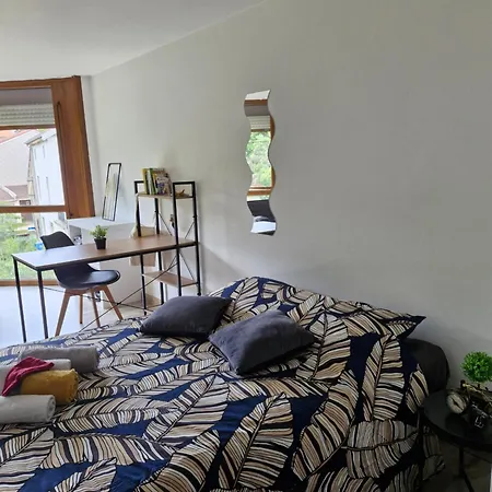 Joli Studio Une Piece 15Min A Pied Centre Depinal 4 Personnes Grace Au Canape Lit, Parking Prive Gratuit Et Parking Exterieur Gratuit Machine A Laver Tv Wifi Machine A Cafe Linge De Lit Et Serviettes Fournis Chantraine Exterior foto